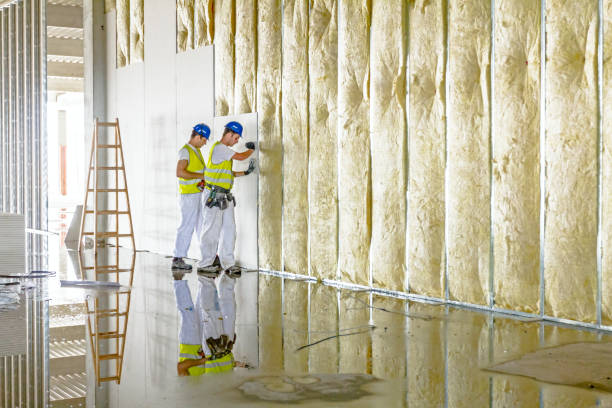 Professional Insulation Contractor in Tooele, UT